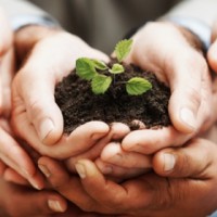 Perla Water Company Core Values